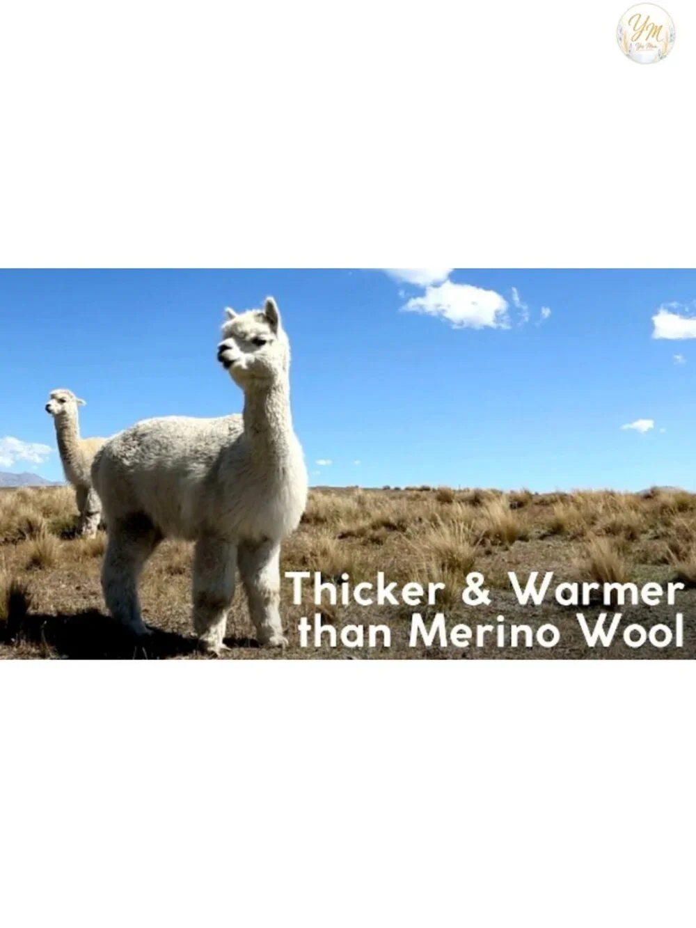 Alpaca Wool Heavyweight Thermal Boot Socks Hunting Hiking Working Thick
